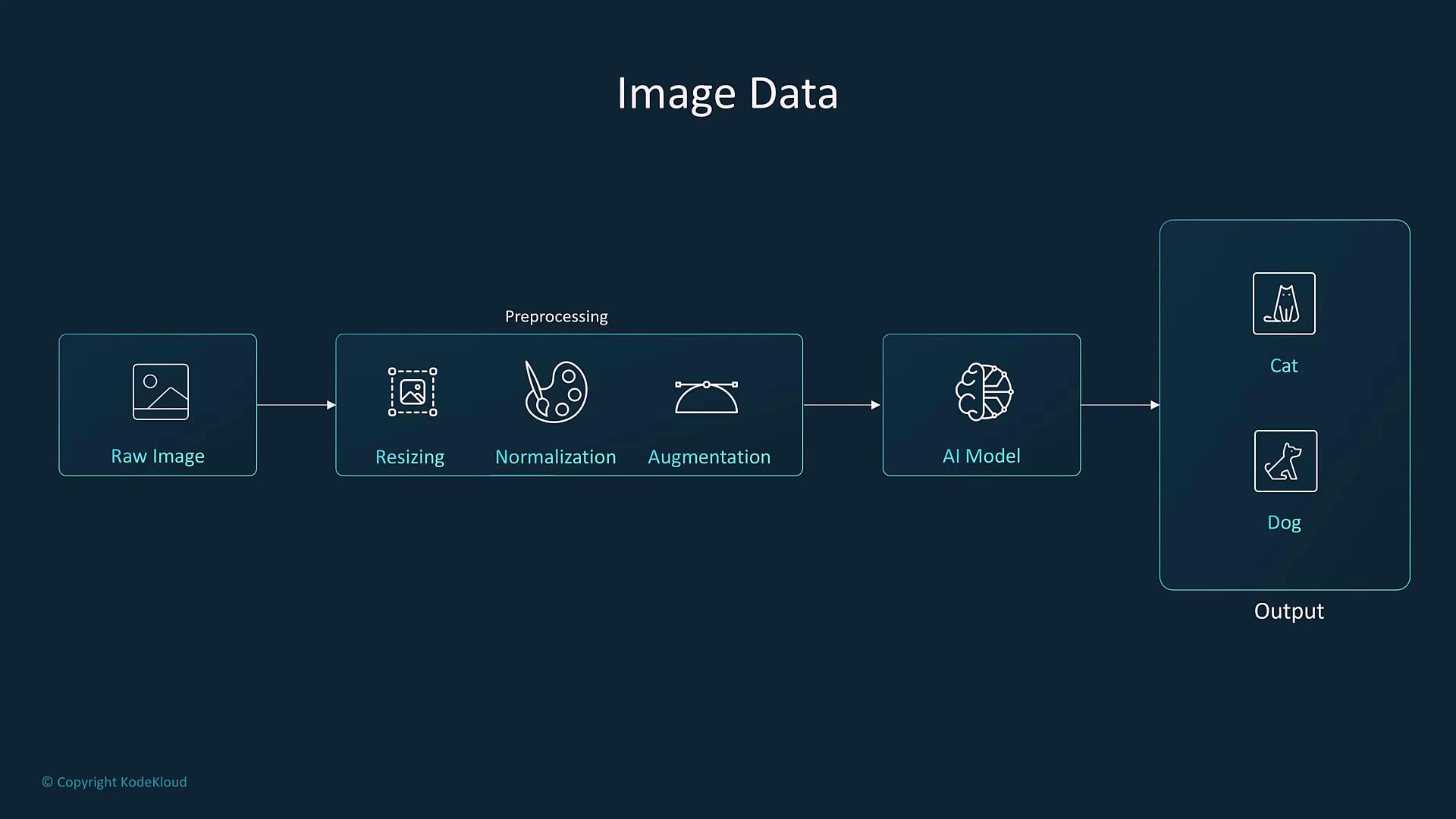 The image is a flowchart illustrating the process of image data handling, including steps like resizing, normalization, and augmentation, leading to an AI model that outputs classifications of "Cat" or "Dog."