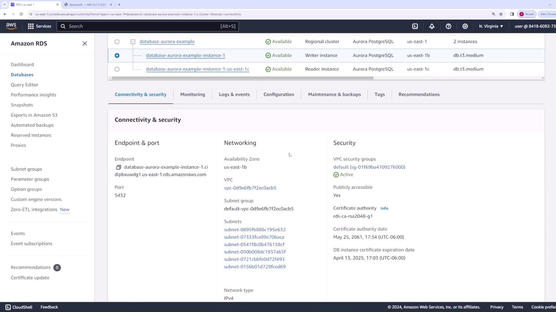 The image shows an Amazon RDS console displaying details of a database instance, including connectivity, security, networking, and endpoint information.