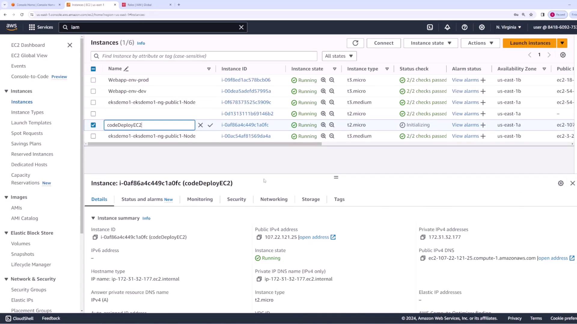 The image shows an AWS EC2 management console with a list of instances, their statuses, and details of a selected instance named "codeDeployEC2."