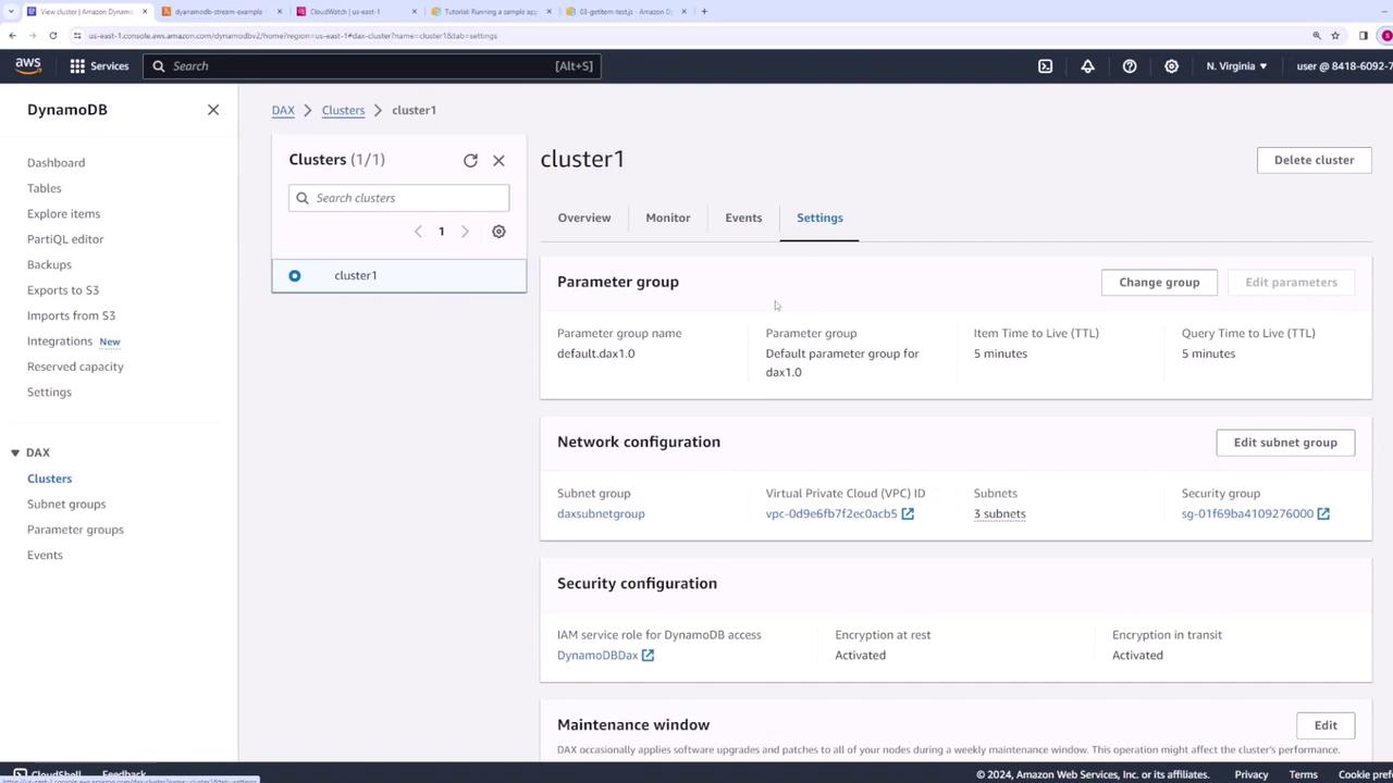 The image shows the AWS Management Console for DynamoDB, specifically the settings page for a cluster named "cluster1," displaying parameter group, network configuration, and security configuration details.