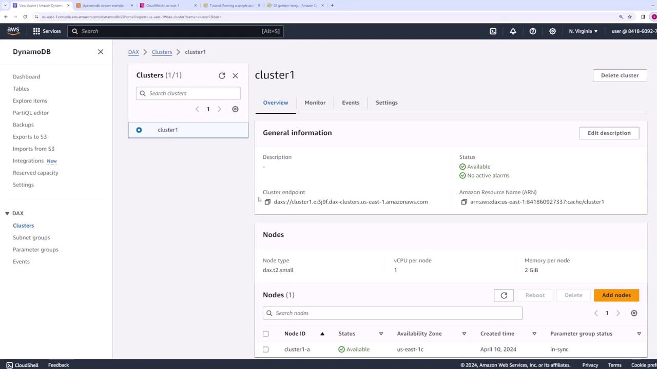 The image shows an AWS DynamoDB console displaying details of a DAX cluster named "cluster1," including its status, endpoint, and node information.