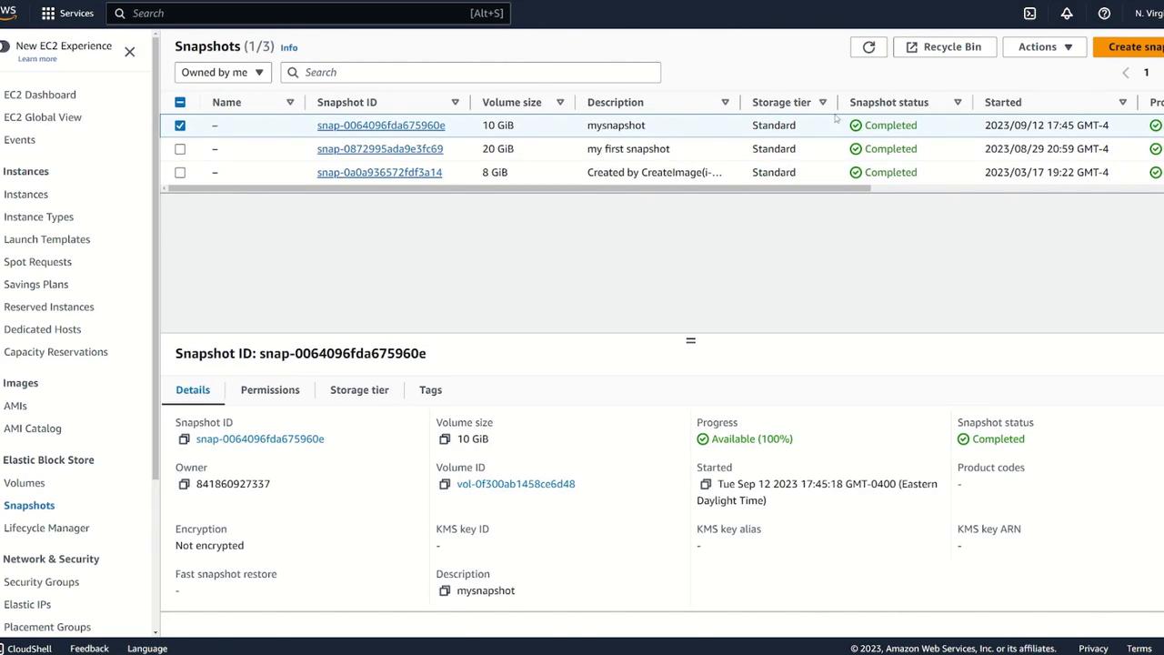 The image shows an AWS EC2 console displaying a list of EBS snapshots with details such as snapshot ID, volume size, and status. The selected snapshot has a size of 10 GiB and is marked as completed.