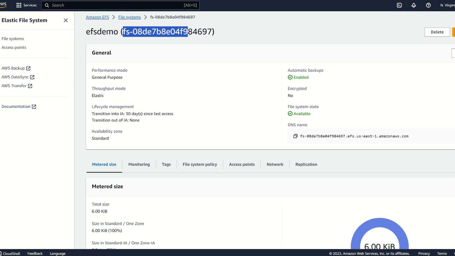 The image shows an Amazon Web Services (AWS) Elastic File System (EFS) dashboard, displaying details such as performance mode, throughput mode, lifecycle management, and metered size. The file system is available, with automatic backups enabled and no encryption.