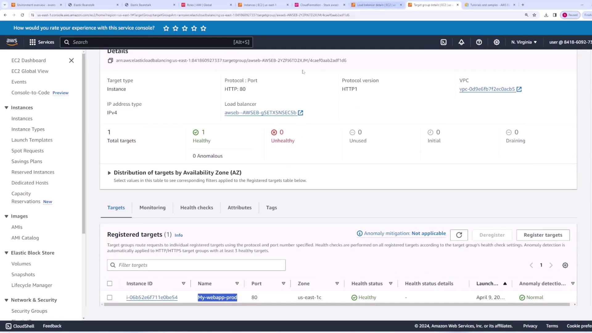 The image shows an AWS console screen displaying details of a target group in Elastic Load Balancing, with one healthy registered target instance.