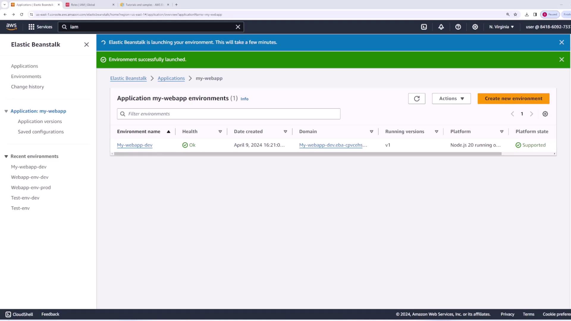 The image shows an AWS Elastic Beanstalk dashboard with a successfully launched environment named "my-webapp-dev," which is running on Node.js 20.