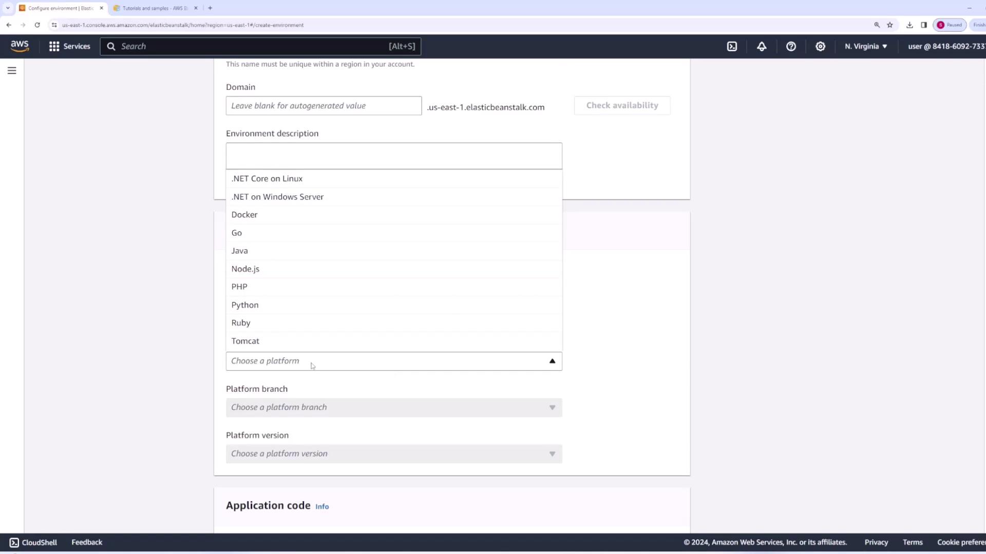 The image shows an AWS Elastic Beanstalk configuration screen where a user is selecting a platform for their environment, with options like .NET, Docker, and Python.