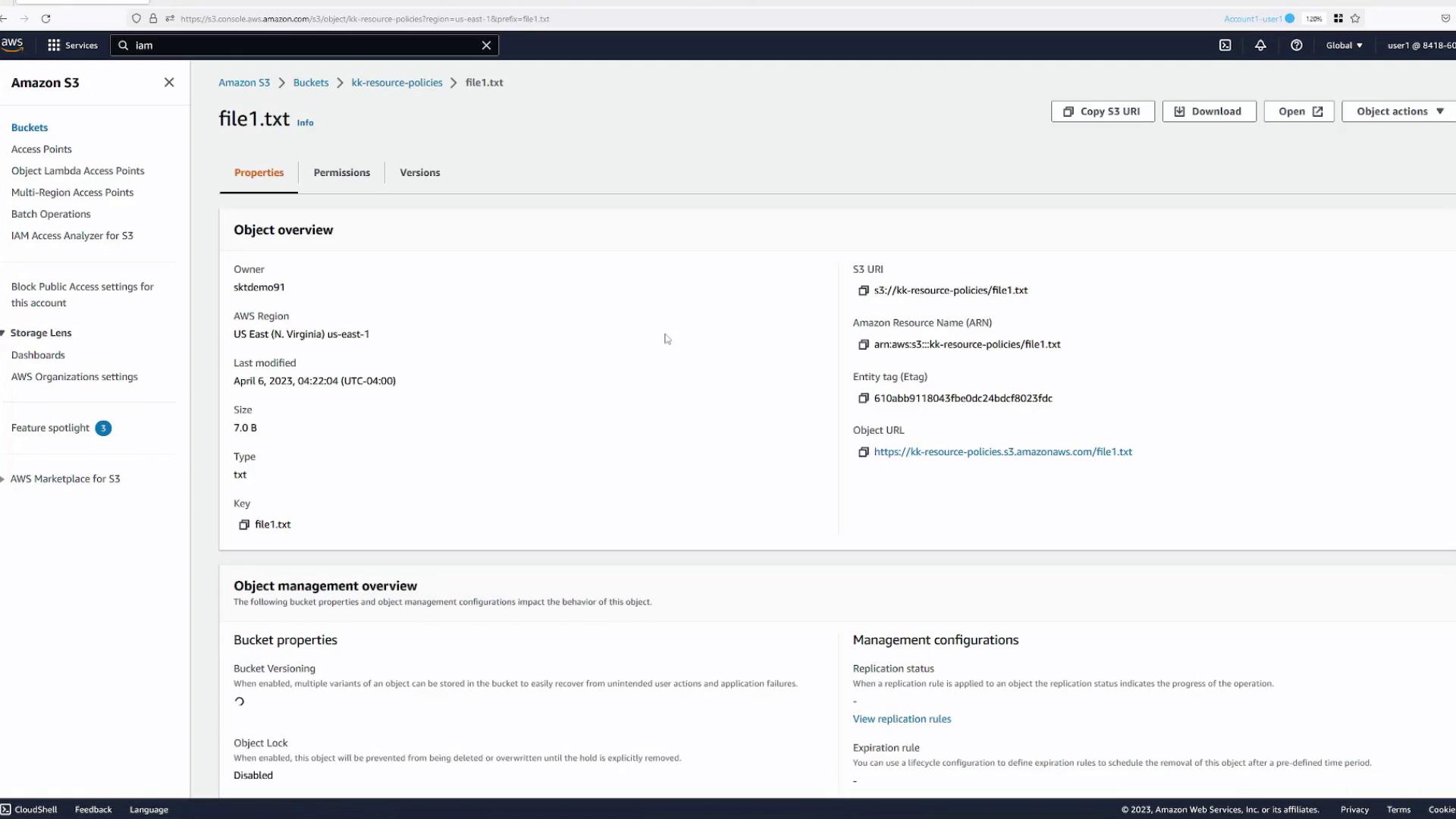 The image shows an Amazon S3 console displaying details of a file named "file1.txt," including its size, type, and last modified date. It also provides information about the file's S3 URI, ARN, and object URL.