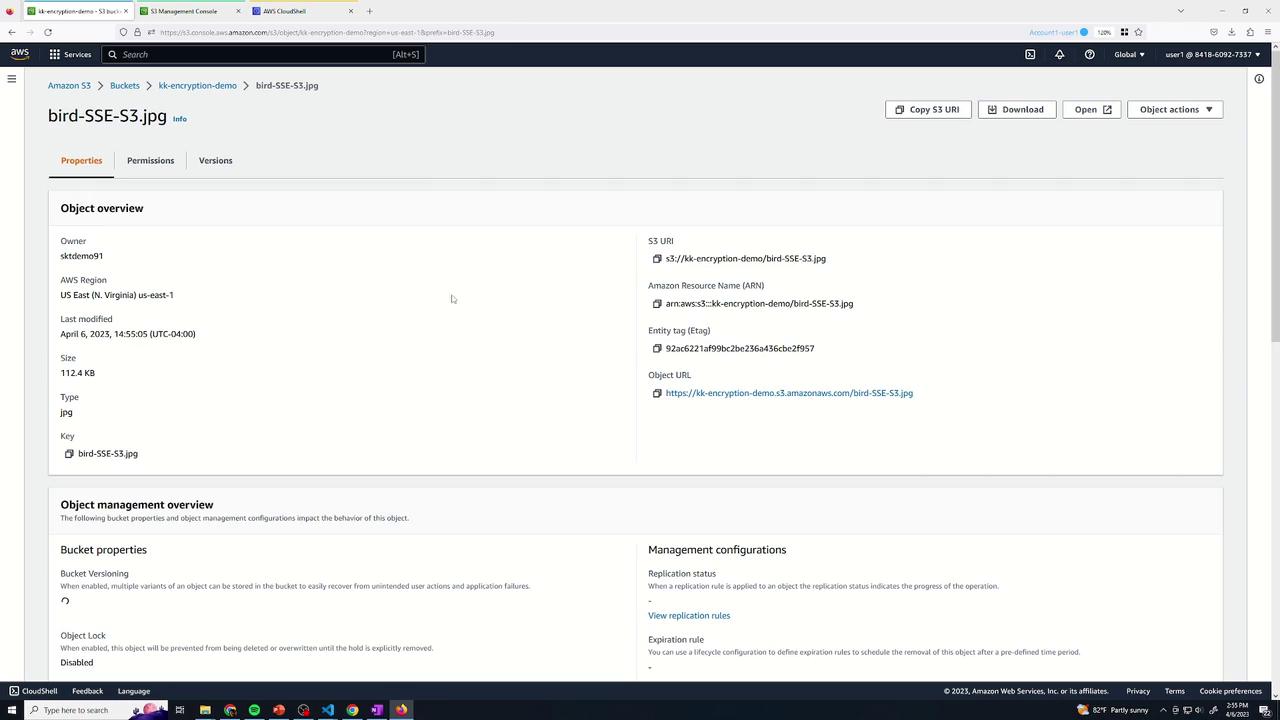 The image shows an Amazon S3 management console displaying details of an object named "bird-SSE-S3.jpg," including its properties, S3 URL, and object management overview.