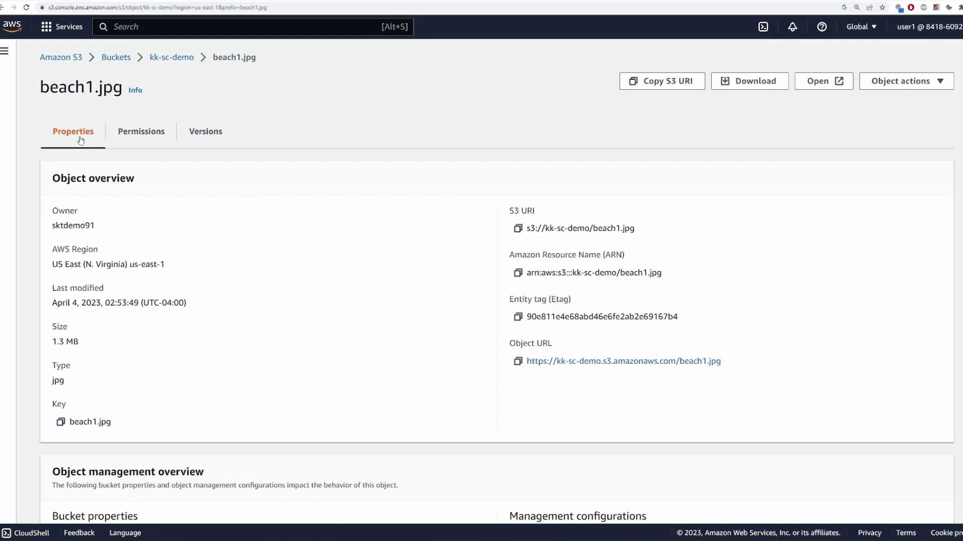 The image shows an Amazon S3 console interface displaying details of an object named "beach1.jpg," including its properties like size, type, and last modified date.