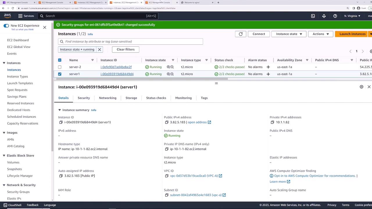 The image shows an AWS EC2 Management Console with details of two running instances, both of type t2.micro, including their instance IDs, public IP addresses, and status checks.