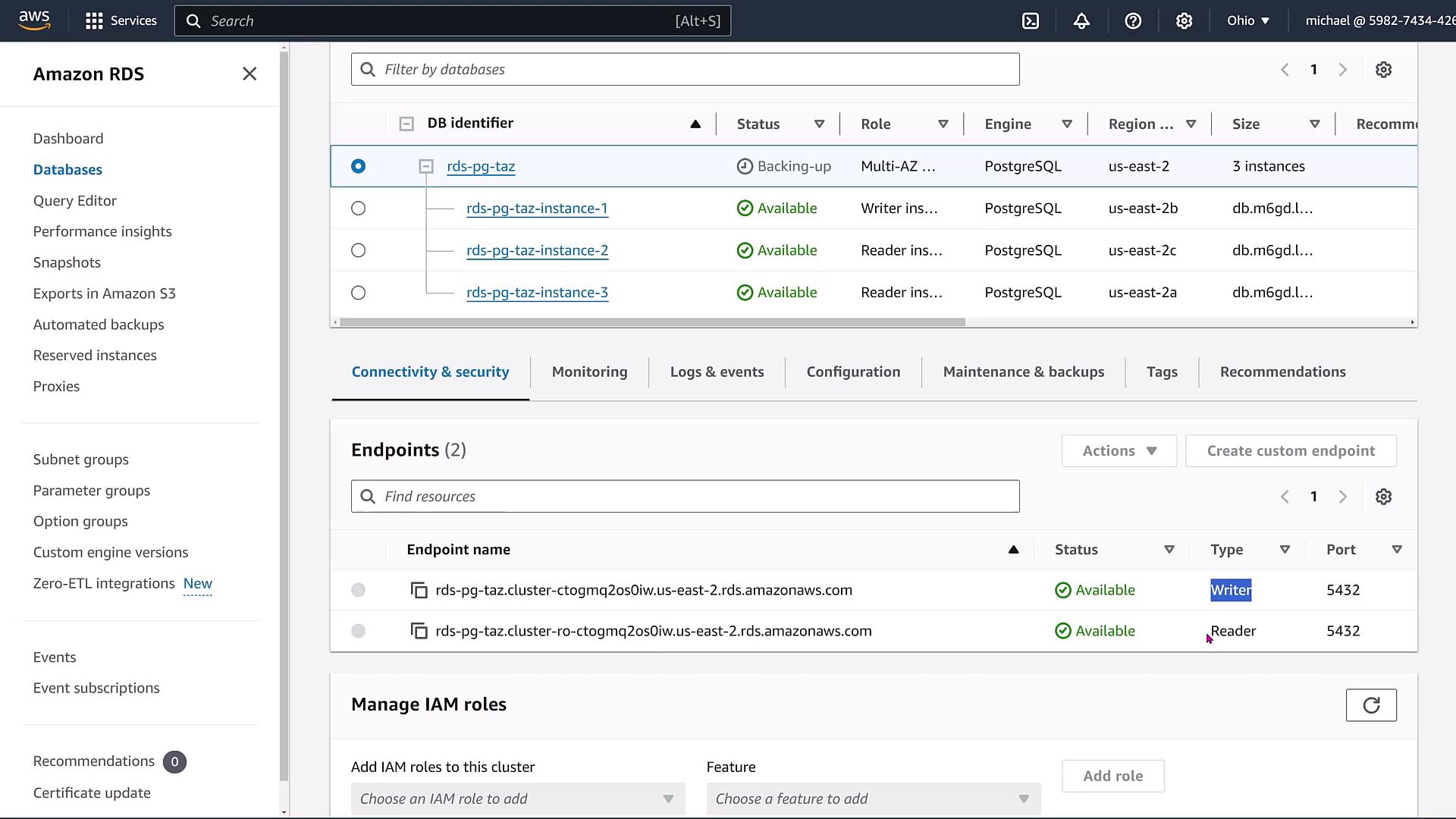 The image shows an Amazon RDS dashboard displaying a list of PostgreSQL database instances with their statuses, roles, and other details. It also includes sections for managing endpoints and IAM roles.