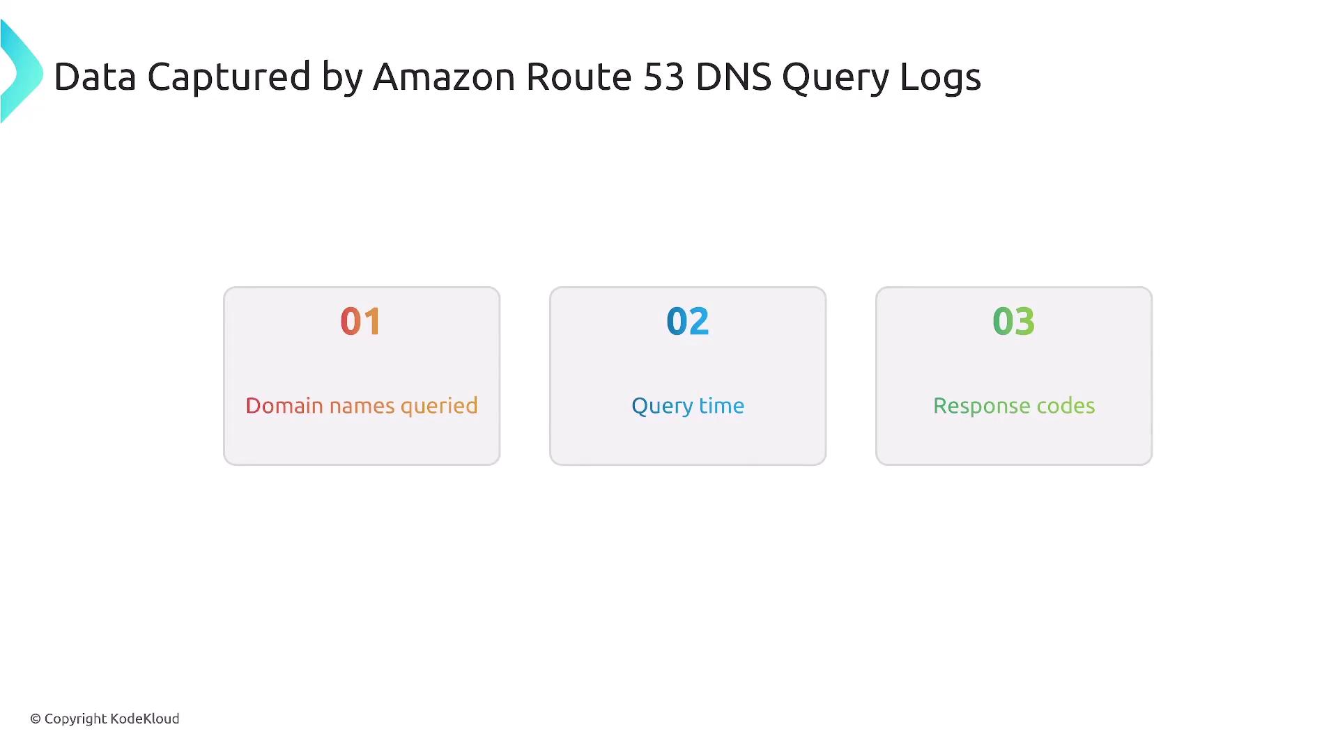 The image lists data captured by Amazon Route 53 DNS query logs, including domain names queried, query time, and response codes.