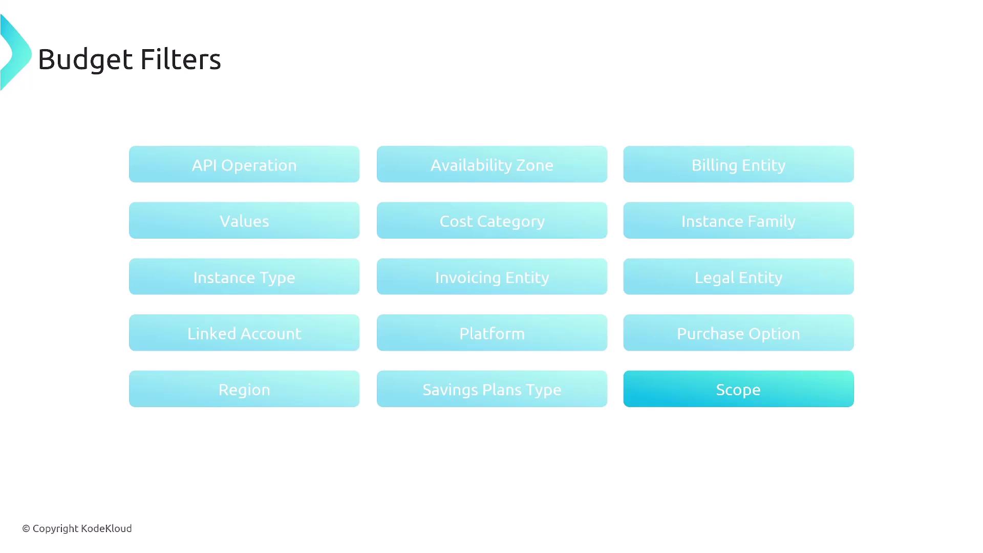 The image displays a list of budget filters, including options like API Operation, Availability Zone, Billing Entity, and others, arranged in a grid format. The filters are presented in light blue buttons on a white background.