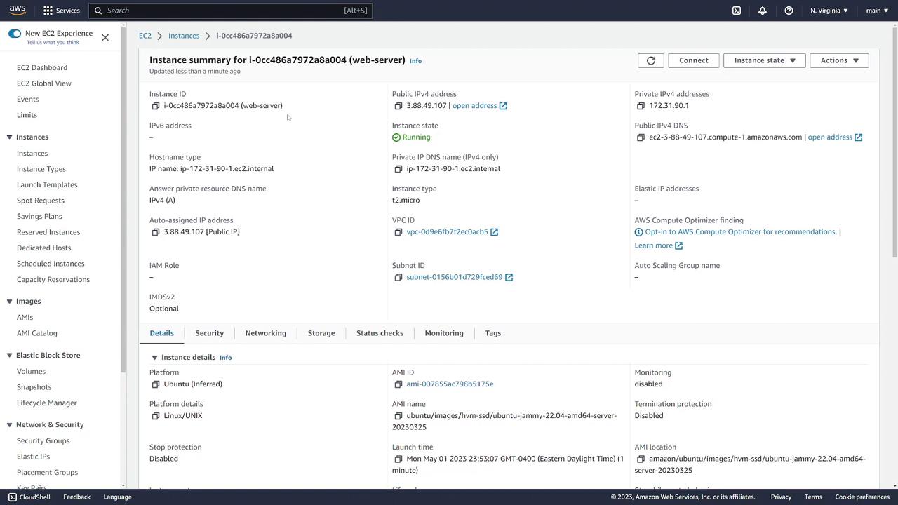 The image shows an AWS EC2 instance summary page, detailing instance ID, IP addresses, instance type, and platform information.