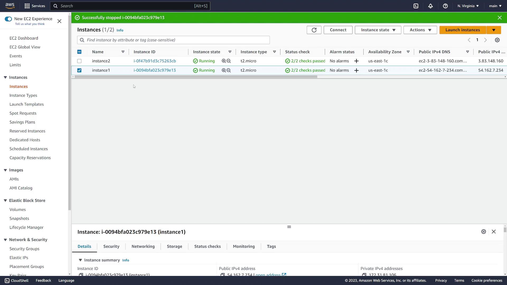 The image shows an AWS EC2 dashboard with two running instances, both t2.micro type, in the us-east-1c availability zone.