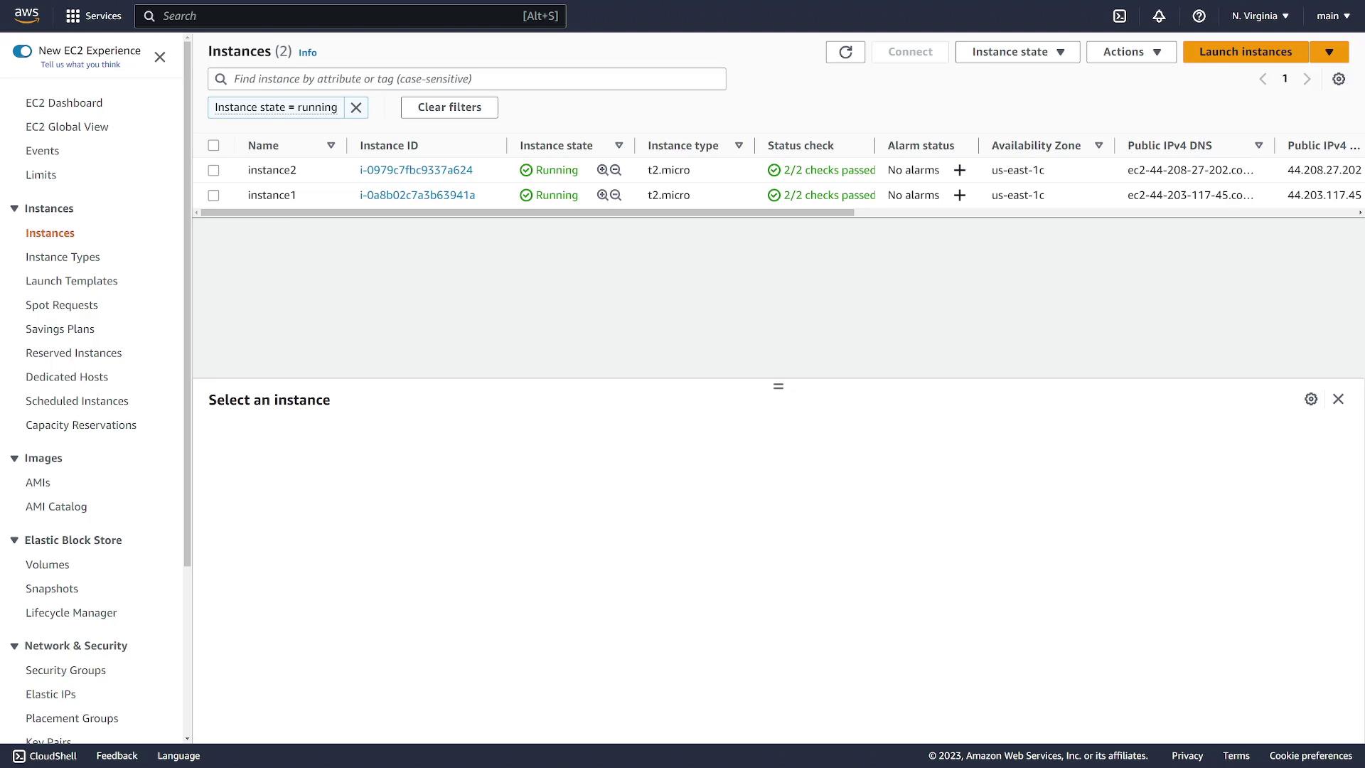 The image shows an AWS EC2 dashboard with two running instances, both of type t2.micro, in the us-east-1c availability zone.