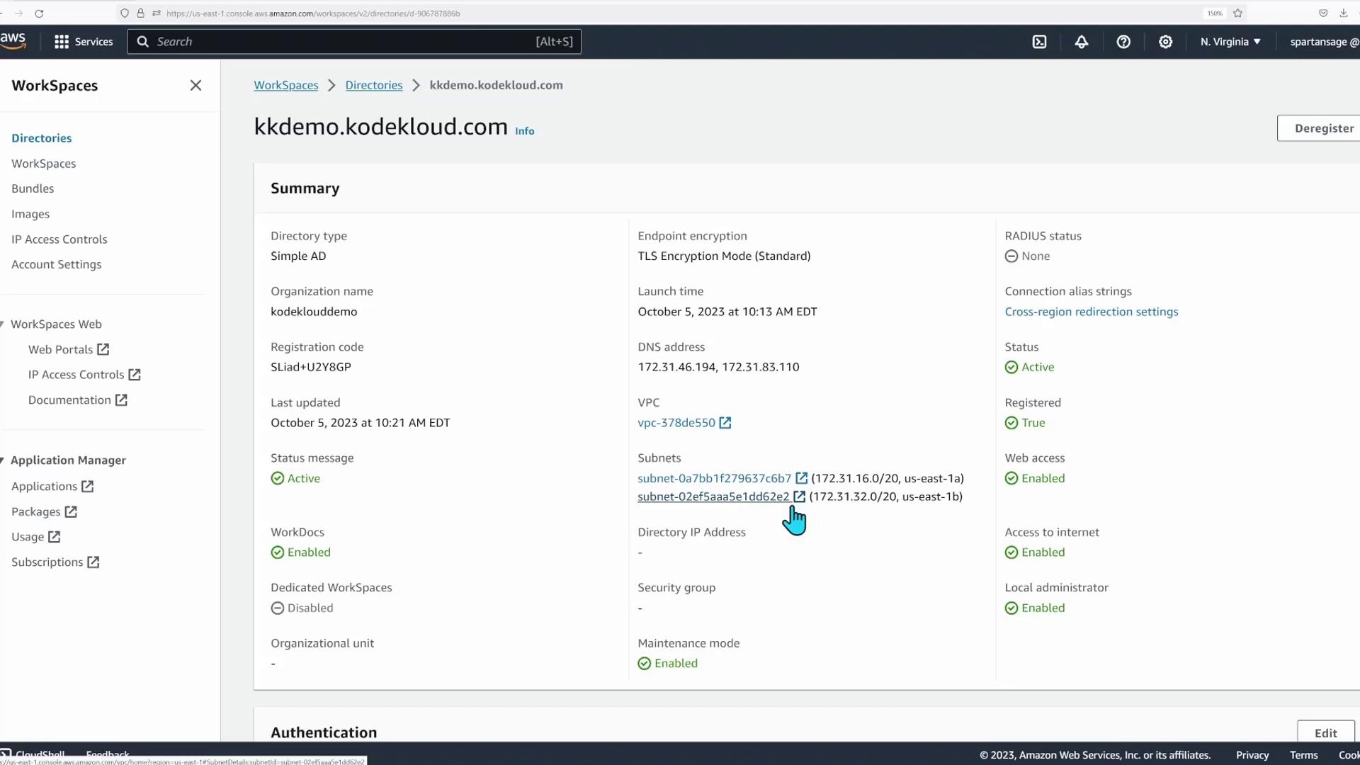 The image shows an AWS WorkSpaces directory summary page with details like directory type, organization name, status, VPC, subnets, and encryption settings.