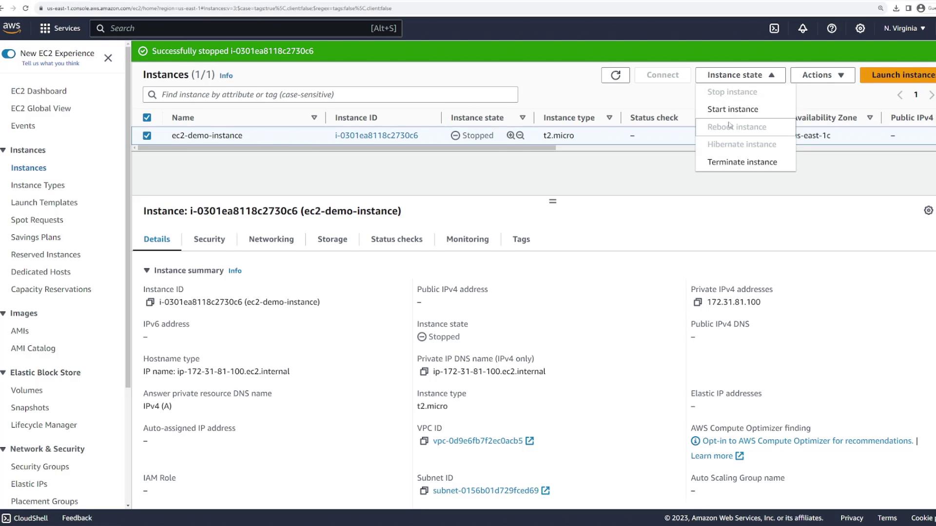 The image shows an AWS EC2 management console with details of a stopped instance named "ec2-demo-instance." The instance type is t2.micro, and it is located in the N. Virginia region.