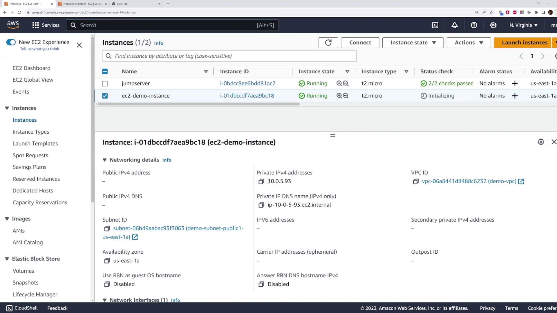 The image shows an AWS EC2 management console with two instances listed, both in a running state. The details of one instance, "ec2-demo-instance," are displayed, including its networking information and instance ID.