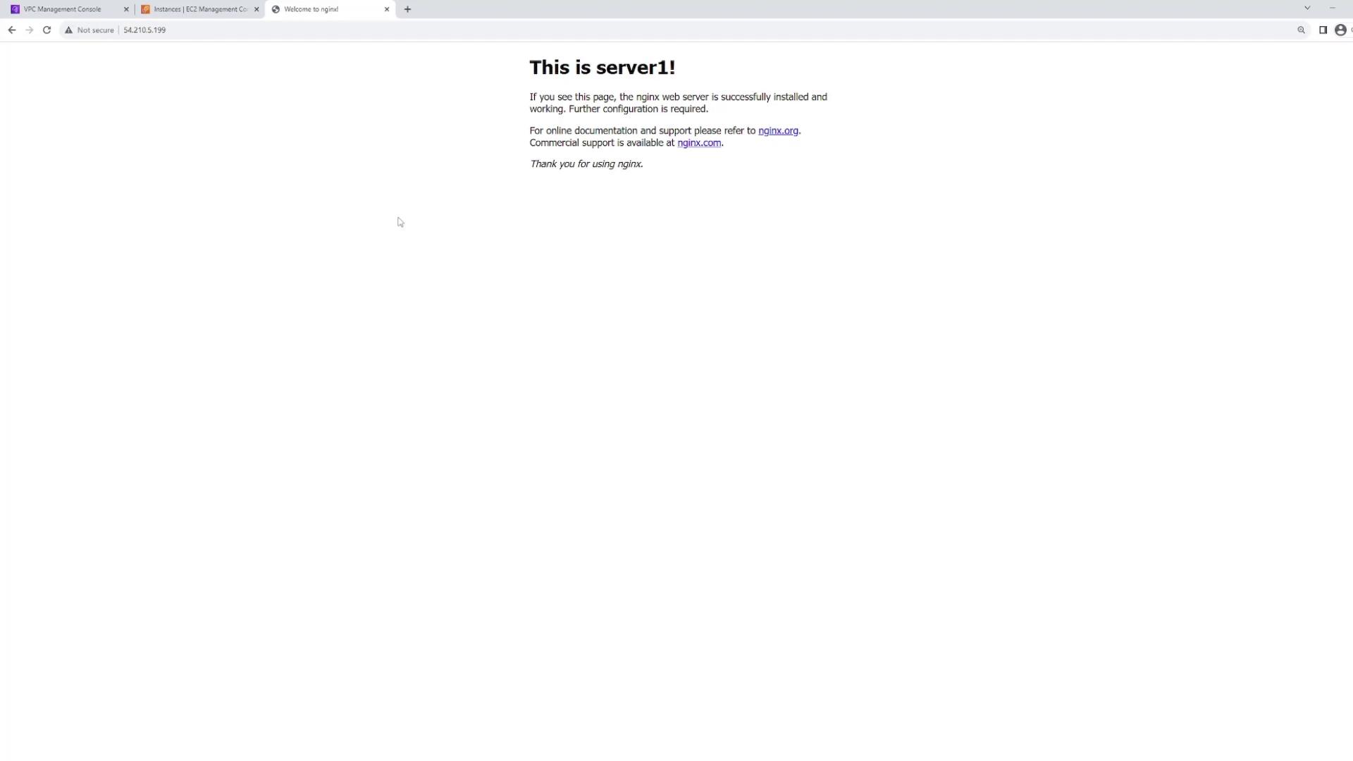 The image shows a web page indicating that "server1" is running, confirming the successful installation of the Nginx web server. It includes links for online documentation and commercial support.