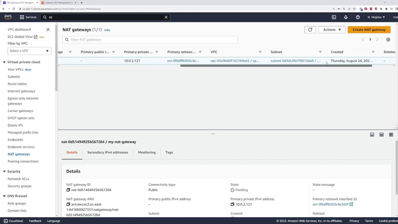 The image shows an AWS management console screen displaying details of a NAT gateway, including its ID, connectivity type, and state. The interface includes options for managing virtual private clouds and related resources.
