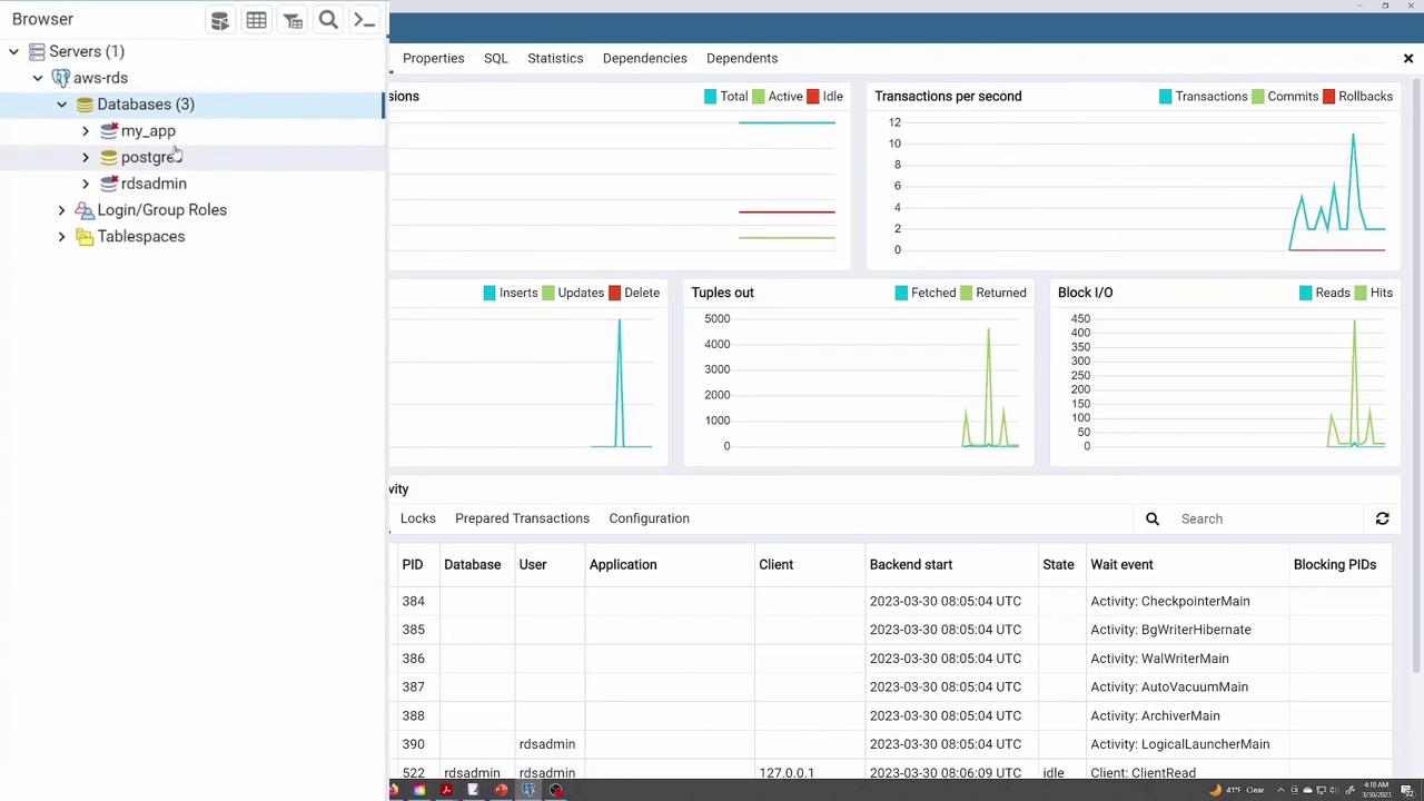 The image shows a database management interface with a sidebar listing servers and databases, and a main panel displaying various database statistics and activity logs.