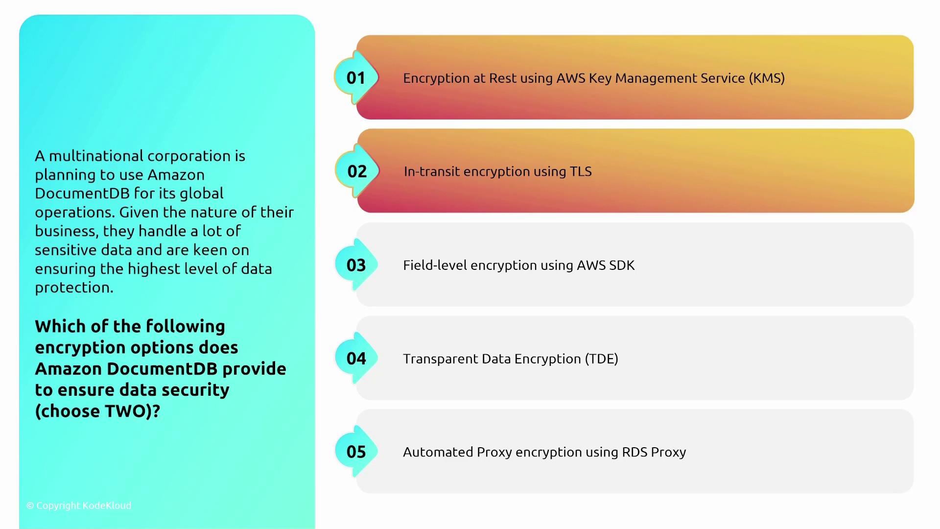 The image presents a scenario about a multinational corporation using Amazon DocumentDB for data protection, listing five encryption options and asking which two are provided by DocumentDB.