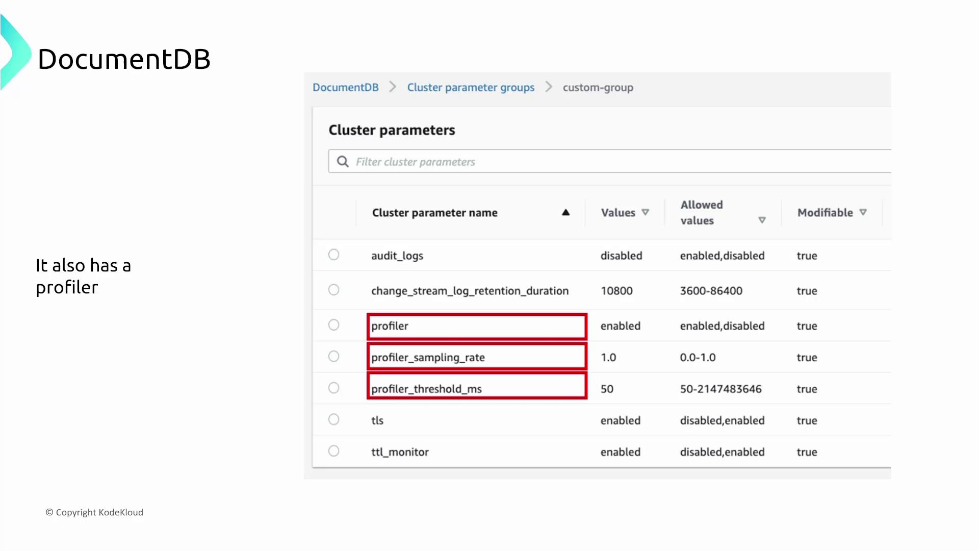 The image shows a DocumentDB interface displaying cluster parameters, including settings for a profiler, with options for enabling and modifying values.