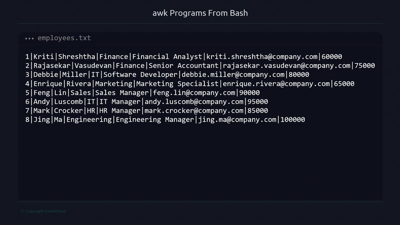 The image shows a text file named "employees.txt" containing a list of employees with details such as name, department, job title, email, and salary.