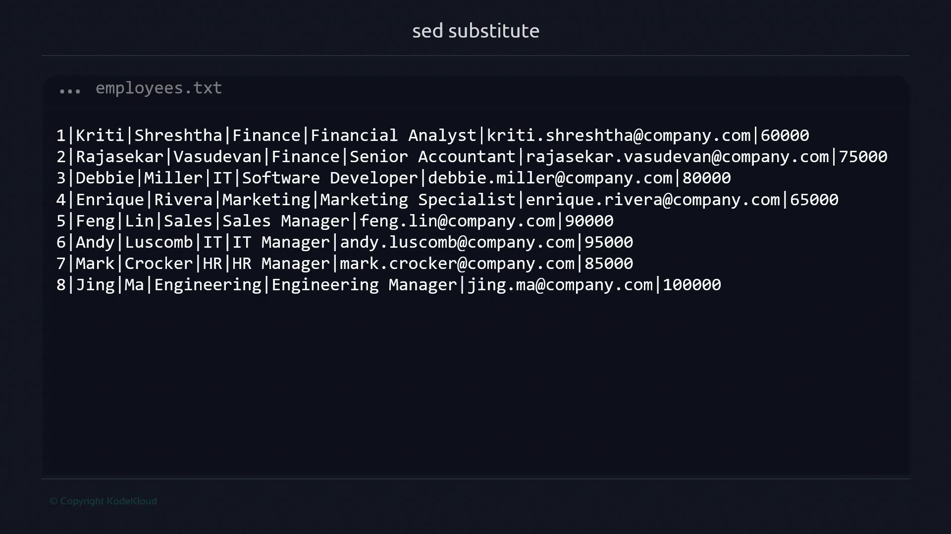 The image shows a text file named "employees.txt" containing a list of employees with details such as name, department, job title, email, and salary.