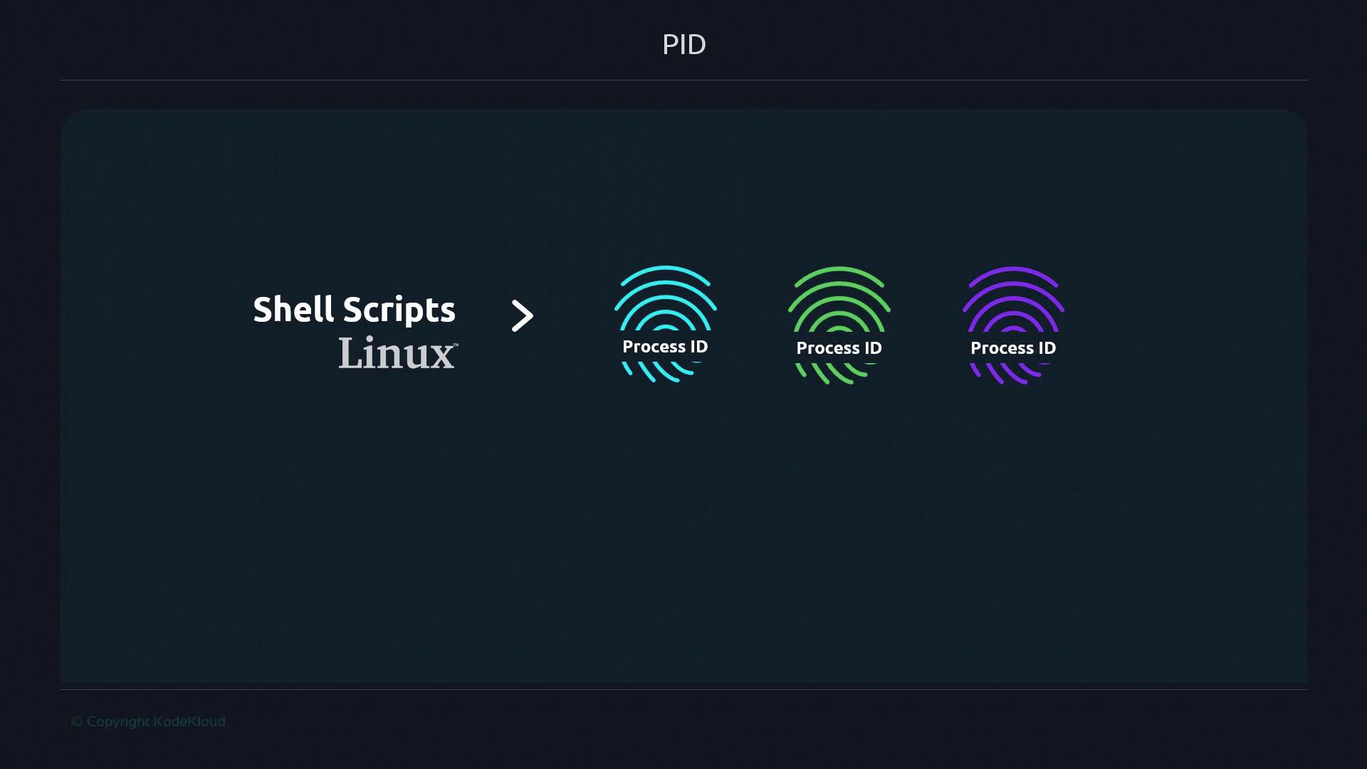 The image is a graphic related to Linux shell scripts, featuring the text "Shell Scripts Linux" and three fingerprint icons labeled "Process ID."