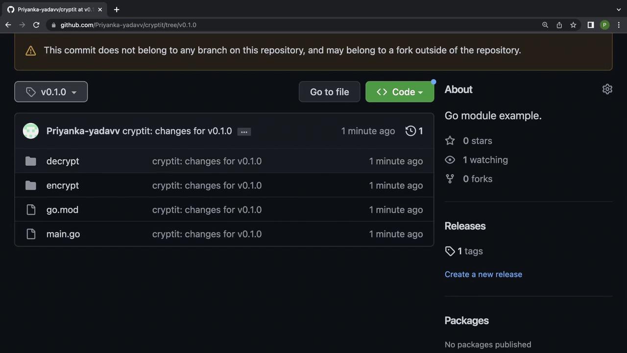 The image shows a GitHub repository page for a project named "cryptit" with version v0.1.0. It includes folders for "decrypt" and "encrypt," and files "go.mod" and "main.go," with recent changes noted.