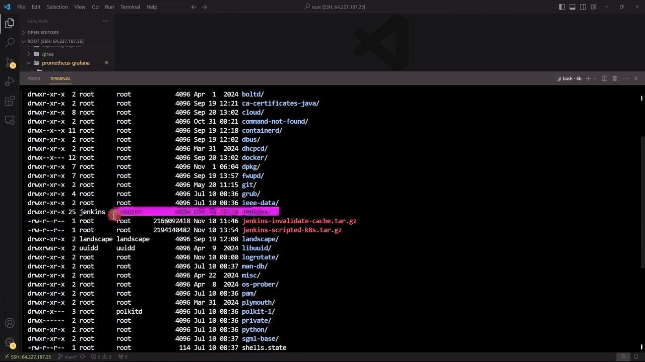 The image shows a terminal window in Visual Studio Code displaying a directory listing with file permissions, ownership, and timestamps. A specific file or directory is highlighted in pink.