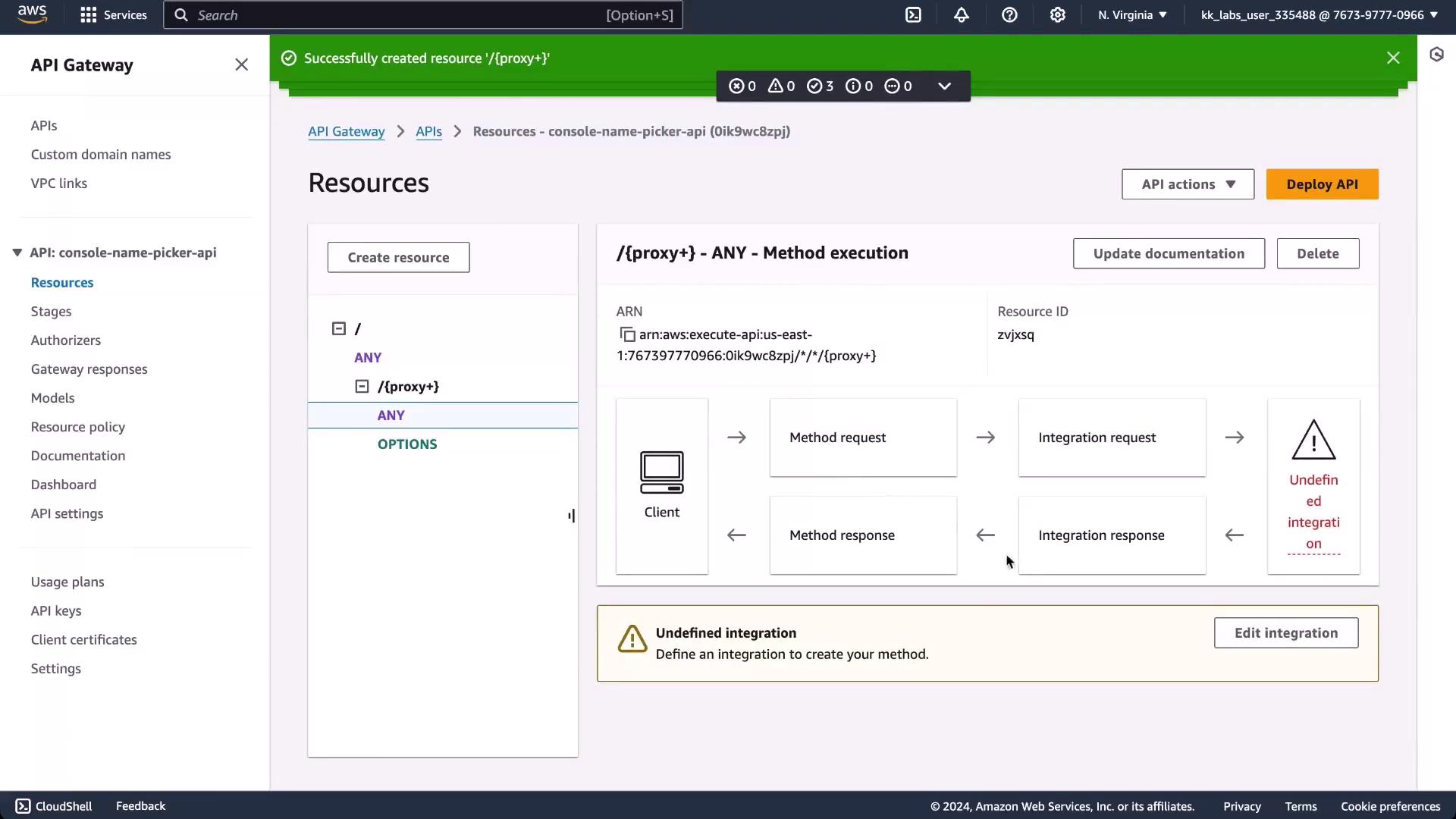 The image shows an AWS API Gateway console with a resource named `{proxy+}` successfully created. It highlights a method execution flow with a warning about undefined integration.