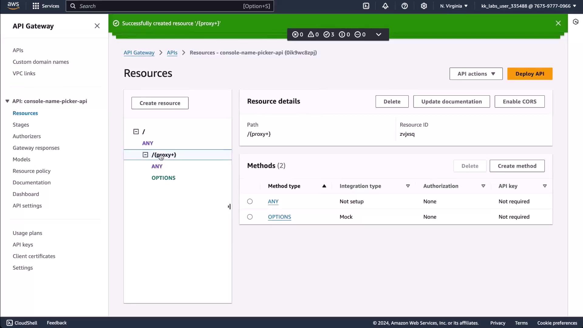 The image shows an AWS API Gateway console where a resource with the path `/{proxy+}` has been successfully created. It displays resource details and methods, including "ANY" and "OPTIONS," with their integration types and authorization settings.
