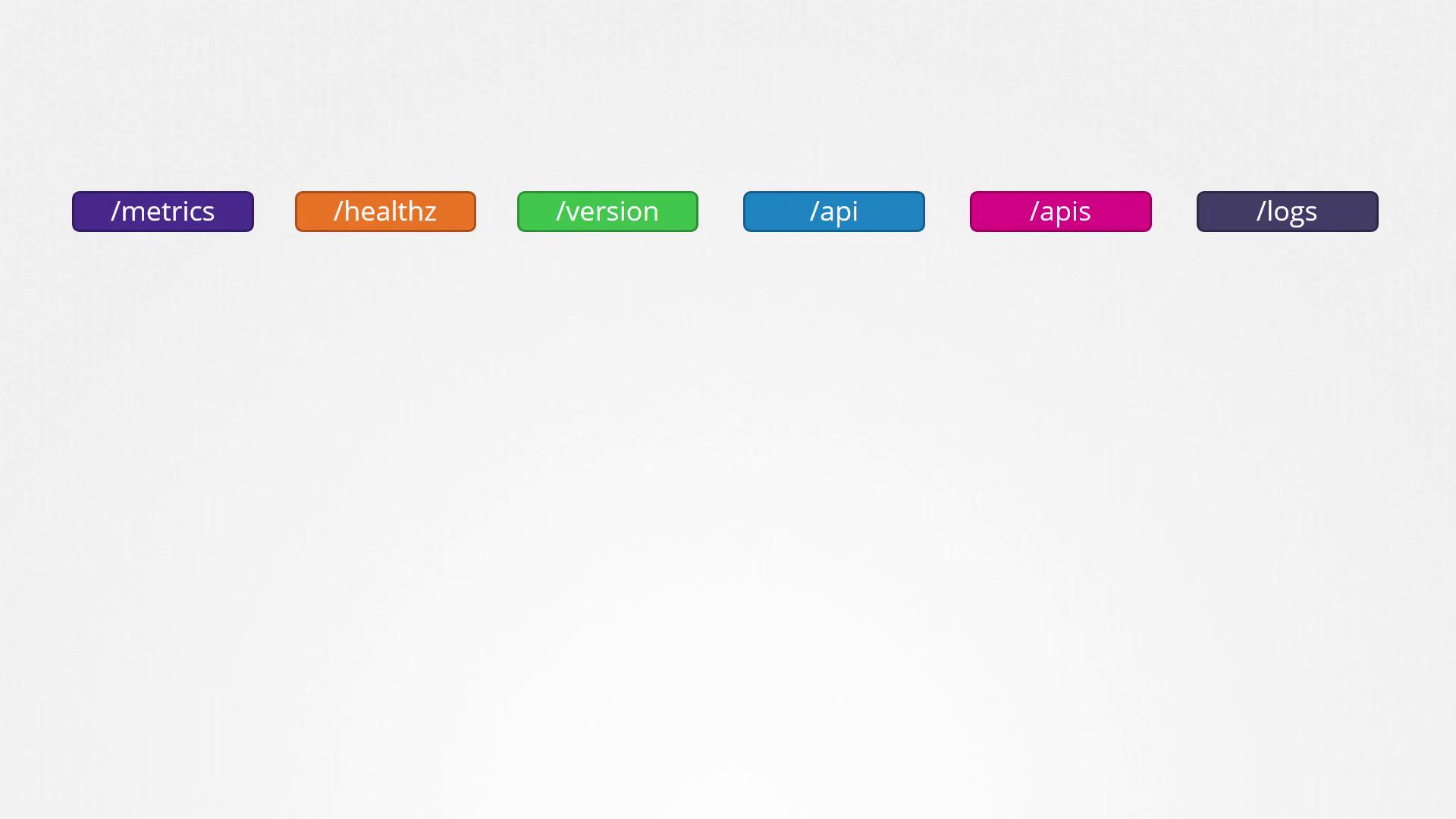 The image shows six colored labels with text: /metrics, /healthz, /version, /api, /apis, and /logs, each in a different color.