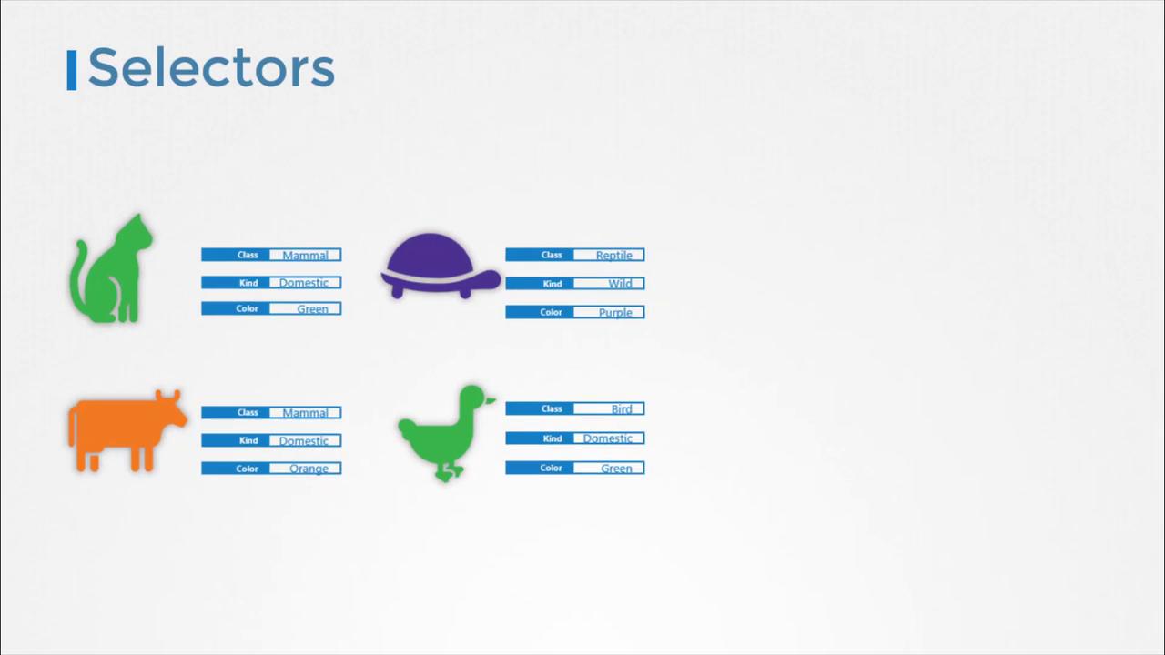 The image shows animal icons with labels for class, kind, and color, illustrating selectors for categorization.