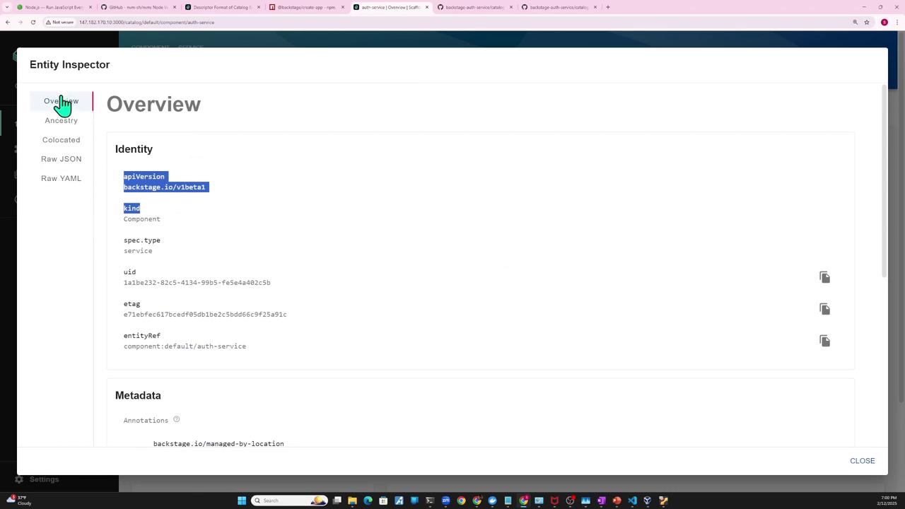 The image shows a software interface titled "Entity Inspector" with an "Overview" section displaying details about an entity's identity and metadata, including fields like `apiVersion`, `kind`, and `spec.type`.