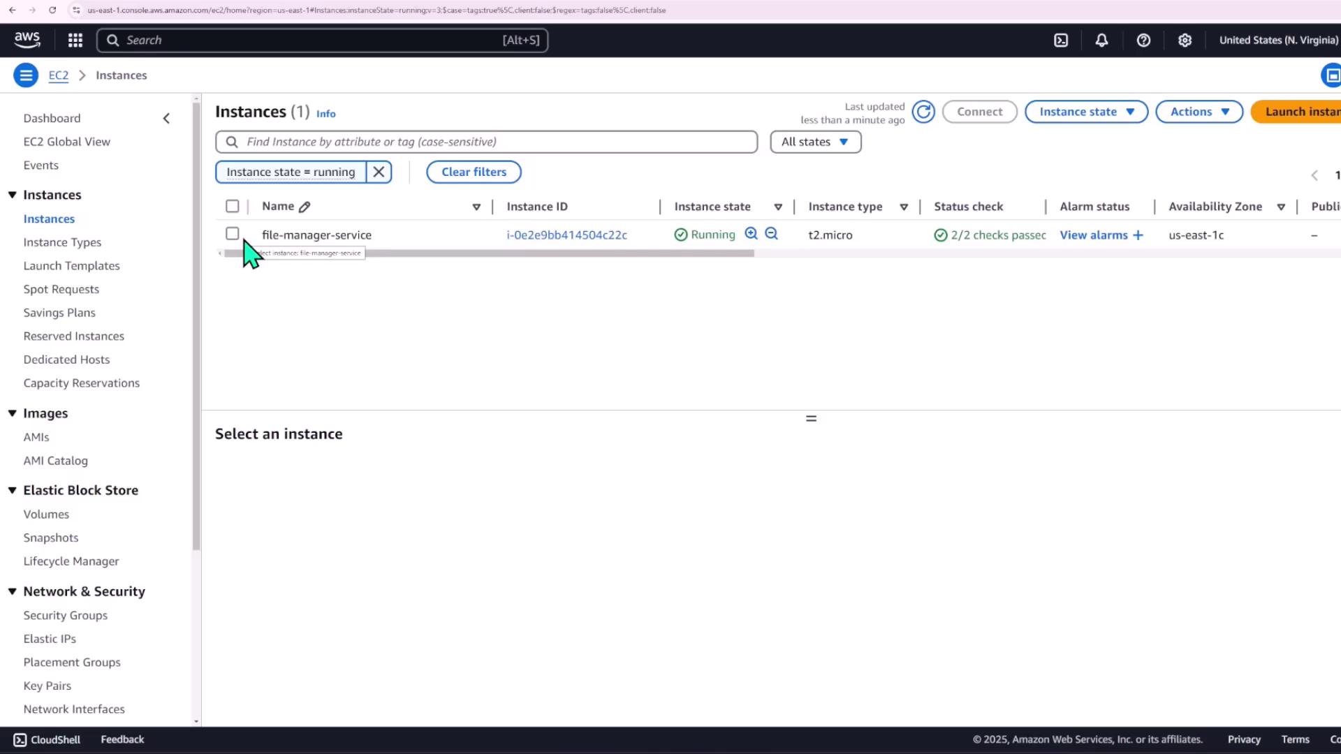 The image shows an AWS EC2 console with one running instance named "file-manager-service" of type "t2.micro" in the "us-east-1c" availability zone. The instance has passed its status checks.