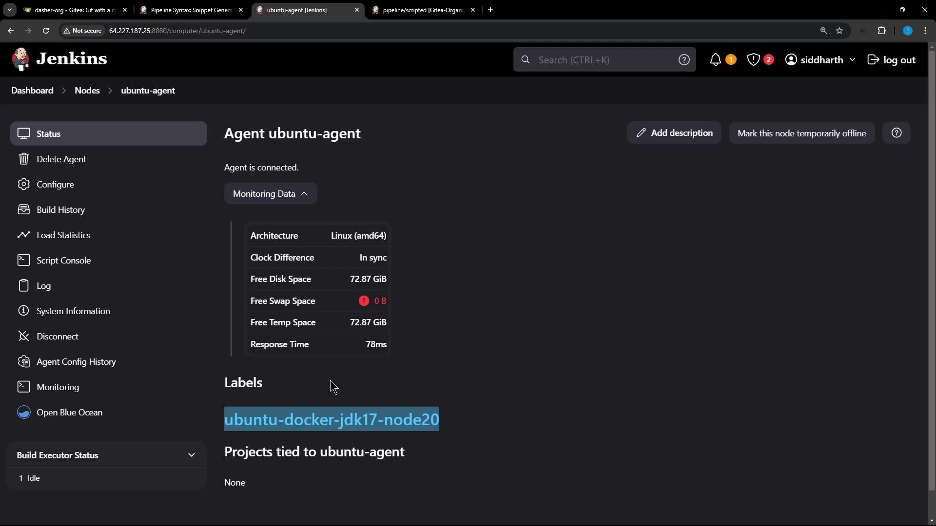 The image shows a Jenkins dashboard for an agent named "ubuntu-agent," displaying its status, monitoring data, and available disk space.