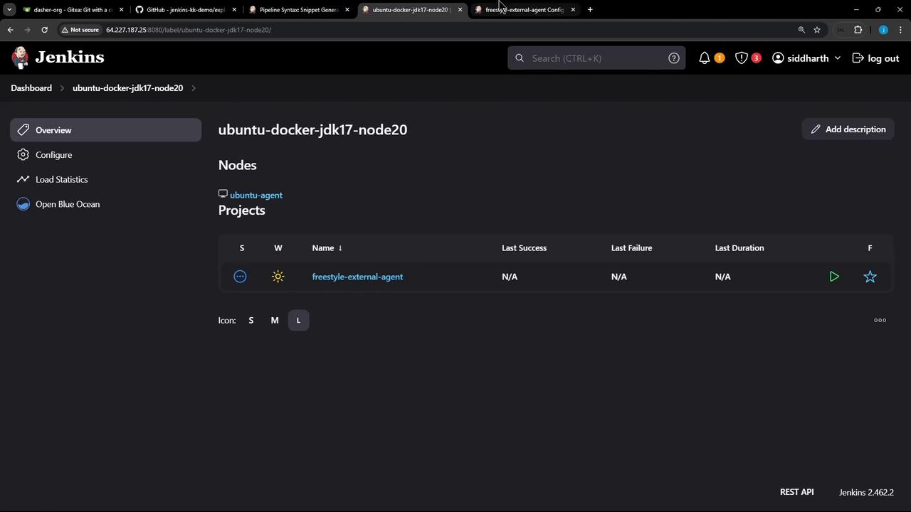 The image shows a Jenkins dashboard for a node labeled "ubuntu-docker-jdk17-node20," displaying an overview of nodes and projects, including a project named "freestyle-external-agent."