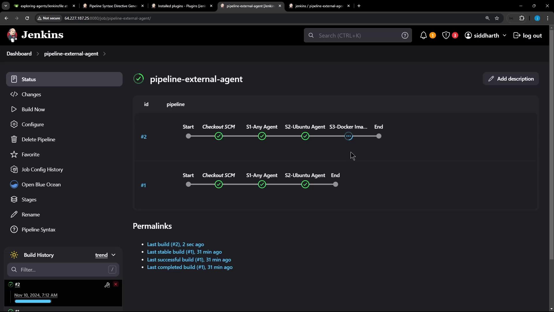 The image shows a Jenkins dashboard displaying the status of a pipeline named "pipeline-external-agent," with stages like "Checkout SCM" and "S1-Any Agent" marked as completed.