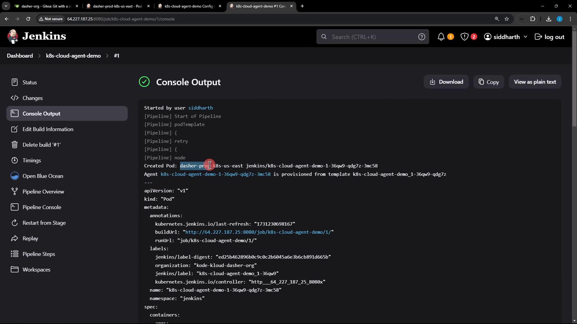 The image shows a Jenkins console output screen displaying details of a pipeline execution, including information about a created Kubernetes pod.