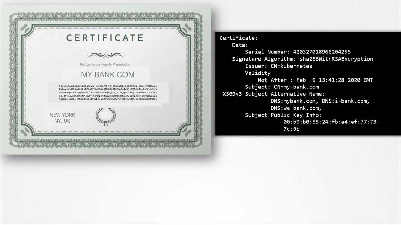The image shows a digital certificate for "my-bank.com" with details like serial number, signature algorithm, issuer, validity, and subject alternative names.