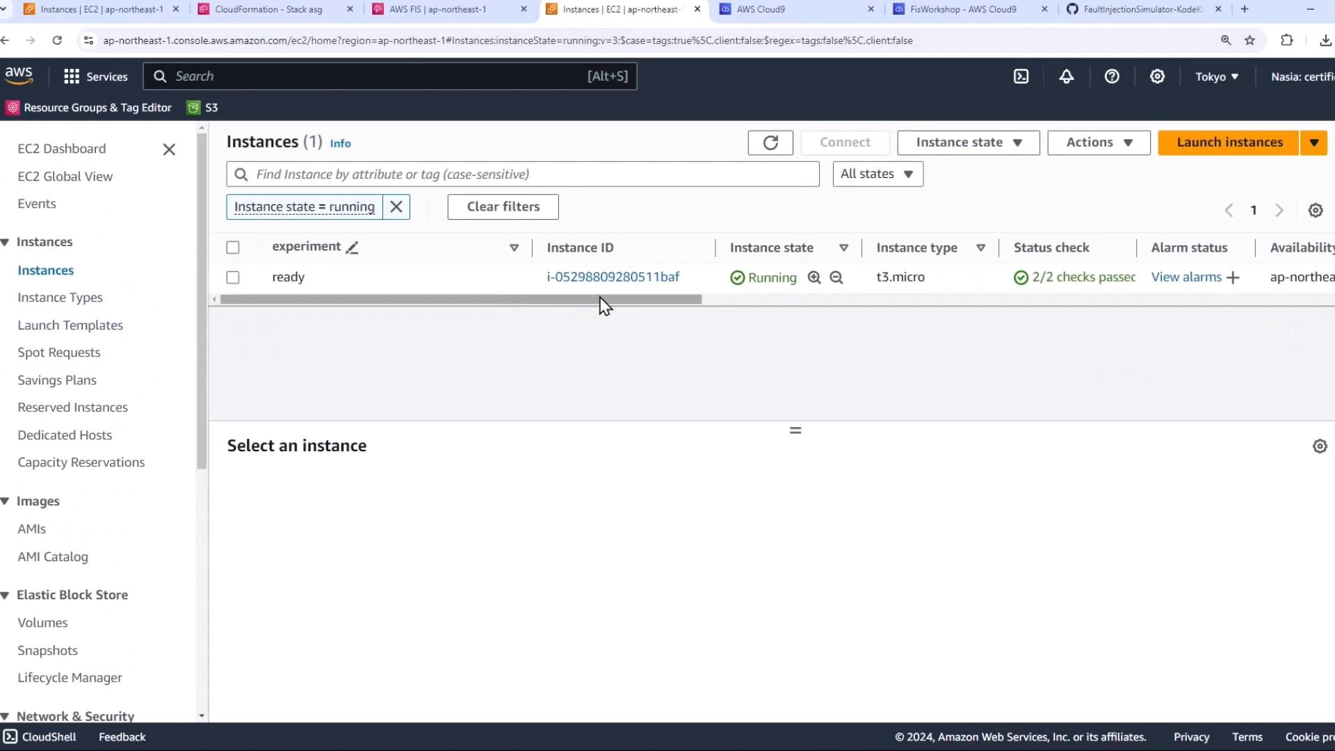 The image shows an AWS EC2 console with one running instance of type t3.micro. The instance has passed its status checks and is located in the ap-northeast-1 region.