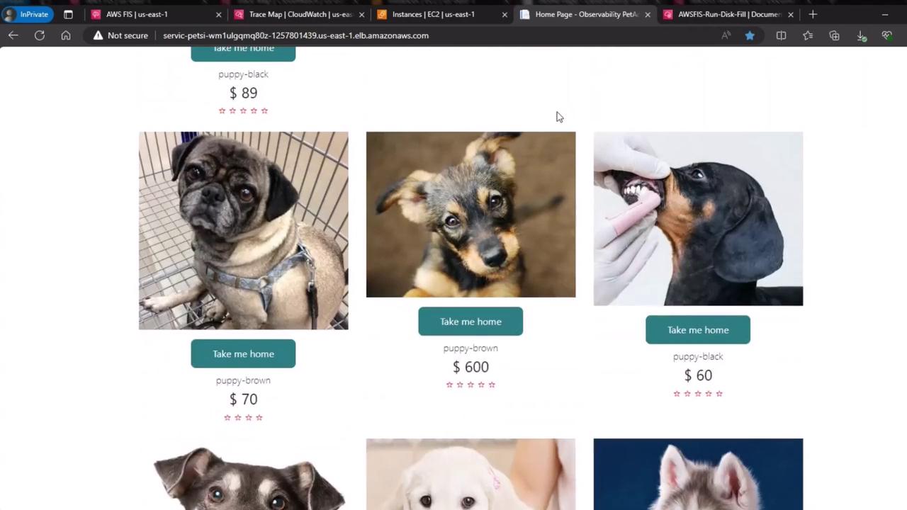 The image shows a webpage displaying various puppies for sale, each with a price and a "Take me home" button.