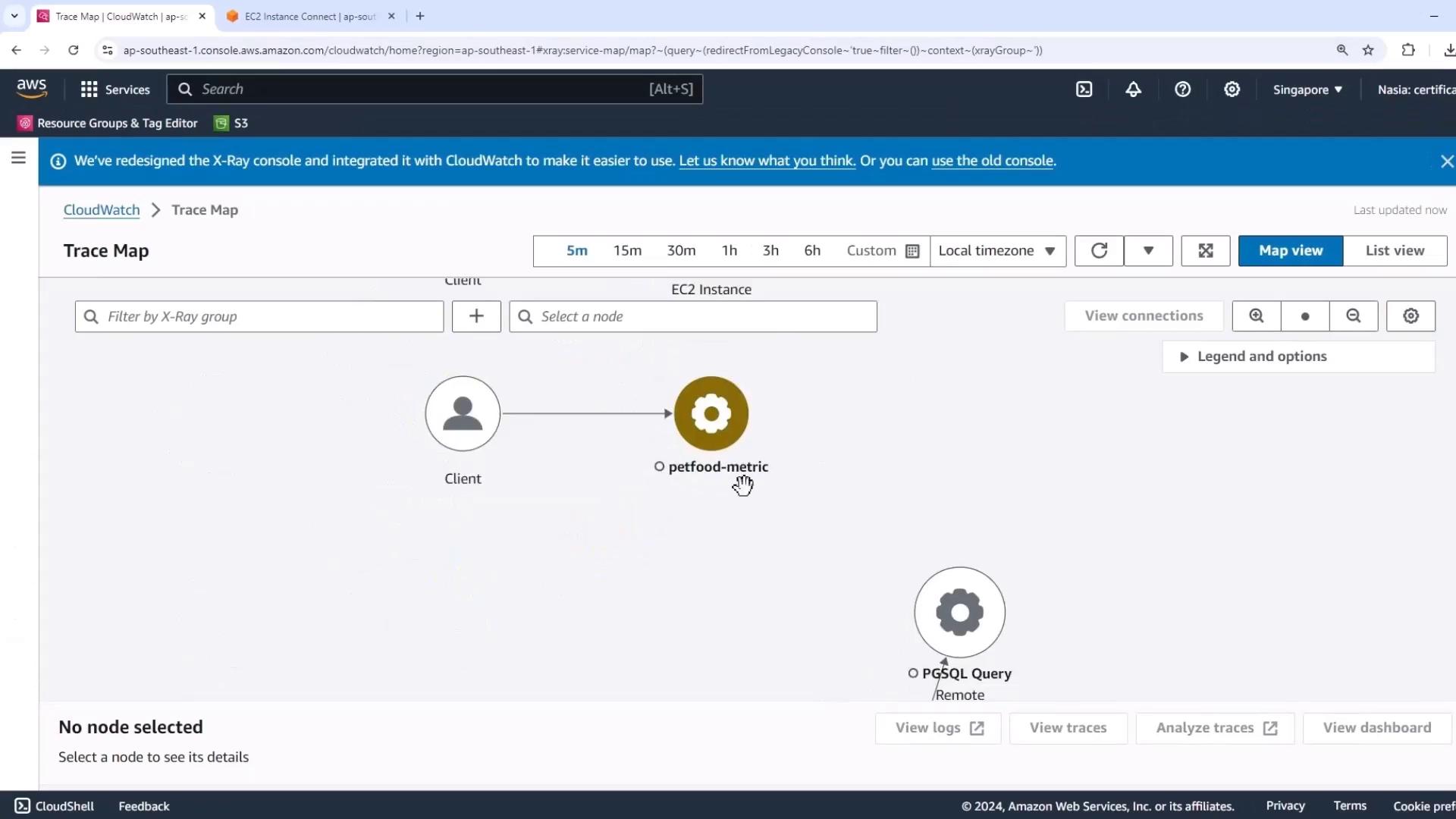 The image shows an AWS CloudWatch Trace Map interface, displaying a visual representation of connections between a client, a "petfood-metric" node, and a "PGSQL Query" node.