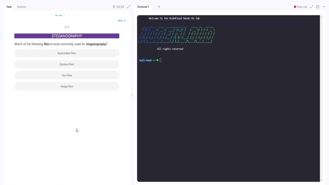 The image shows a question about steganography, asking which type of files is most commonly used, with options including executable, system, text, and image files. On the right, there's a terminal window with a welcome message from KodeKloud Hands-On Lab.