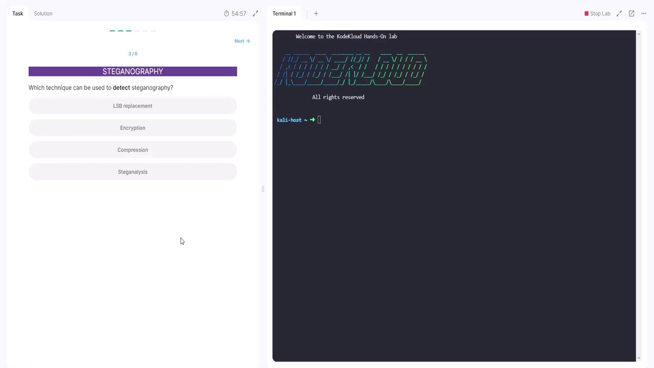 The image shows a split screen with a multiple-choice question about detecting steganography on the left and a terminal window with a "Welcome to the KodeKloud Hands-On lab" message on the right.