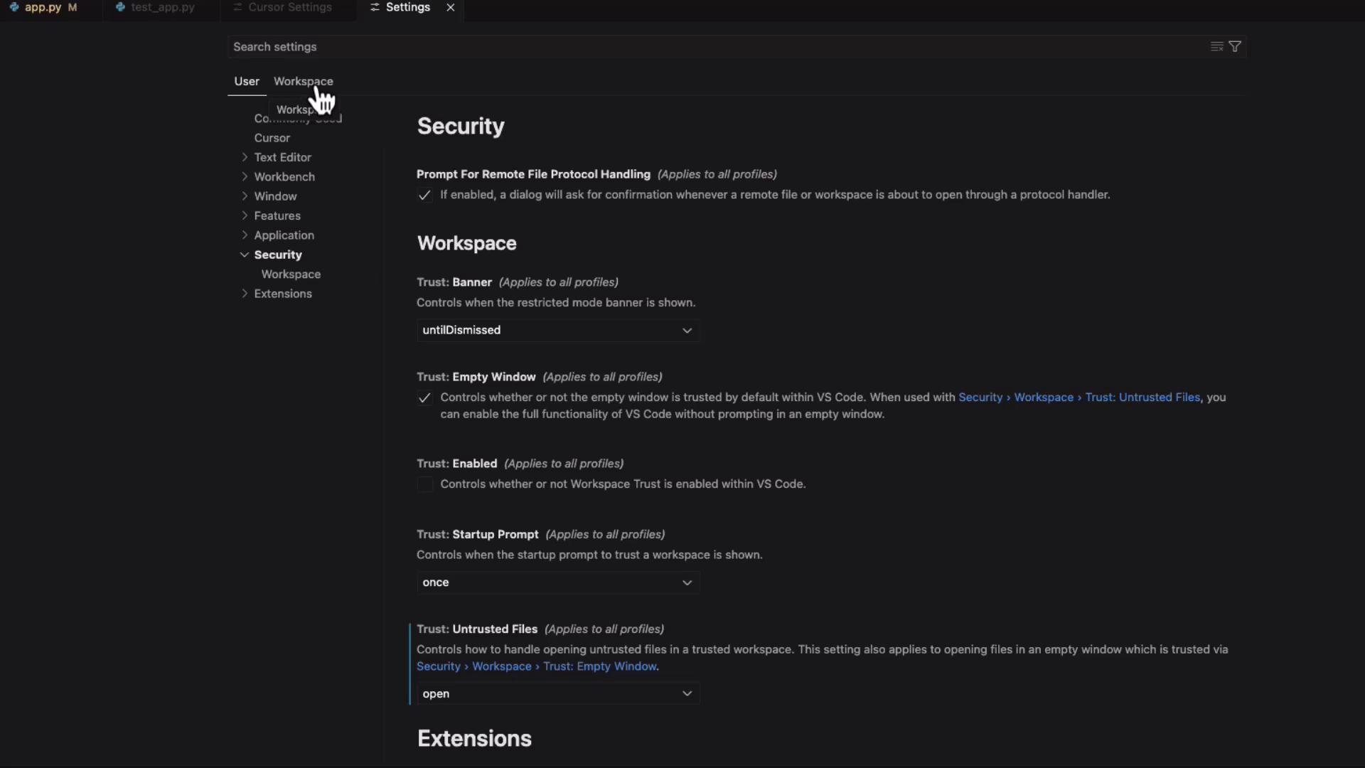 The image shows the security settings in a code editor, likely Visual Studio Code, with options related to workspace trust and file handling.